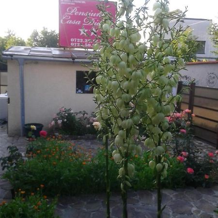 Pensiunea Casa Didina Bacău Exterior foto
