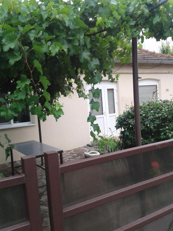 Pensiunea Casa Didina Bacău Exterior foto